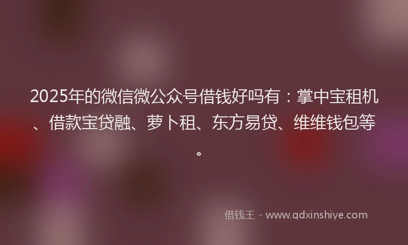 2025年的微信微公众号借钱好吗有：掌中宝租机、借款宝贷融、萝卜租、东方易贷、维维钱包等。