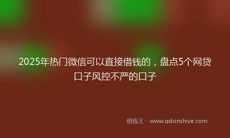 2025年热门微信可以直接借钱的，盘点5个网贷口子风控不严的口子
