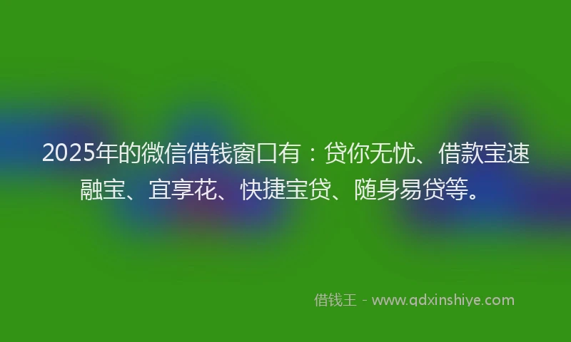 2025年的微信借钱窗口有：贷你无忧、借款宝速融宝、宜享花、快捷宝贷、随身易贷等。