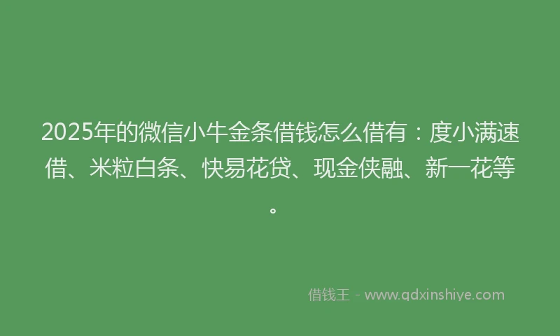 2025年的微信小牛金条借钱怎么借有：度小满速借、米粒白条、快易花贷、现金侠融、新一花等。