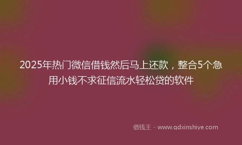 2025年热门微信借钱然后马上还款，整合5个急用小钱不求征信流水轻松贷的软件