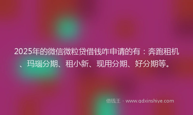 2025年的微信微粒贷借钱咋申请的有：奔跑租机、玛瑙分期、租小新、现用分期、好分期等。