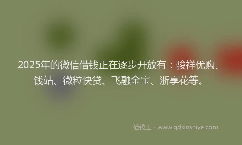 2025年的微信借钱正在逐步开放有：骏祥优购、钱站、微粒快贷、飞融金宝、浙享花等。