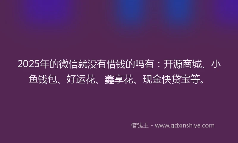 2025年的微信就没有借钱的吗有：开源商城、小鱼钱包、好运花、鑫享花、现金快贷宝等。