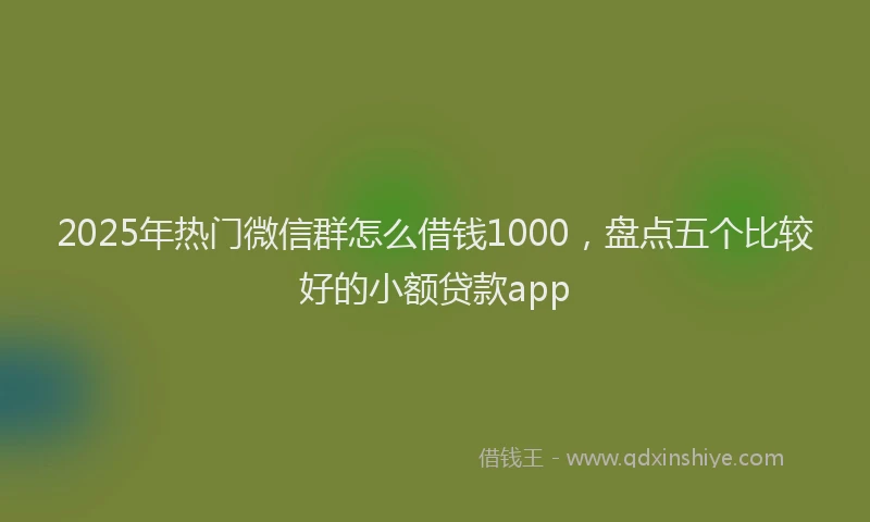 2025年热门微信群怎么借钱1000，盘点五个比较好的小额贷款app