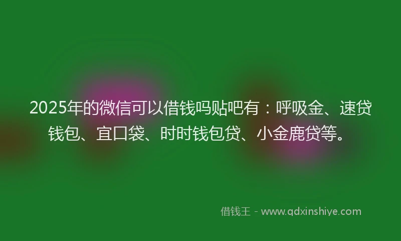 2025年的微信可以借钱吗贴吧有：呼吸金、速贷钱包、宜口袋、时时钱包贷、小金鹿贷等。