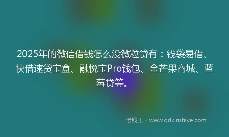 2025年的微信借钱怎么没微粒贷有：钱袋易借、快借速贷宝盒、融悦宝Pro钱包、金芒果商城、蓝莓贷等。