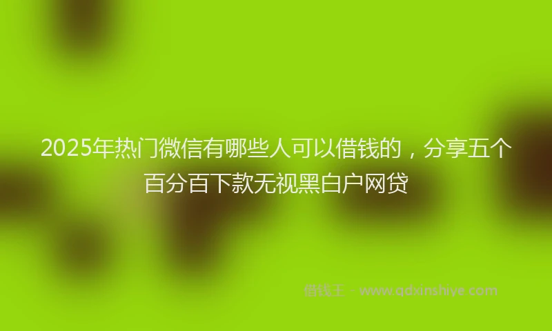 2025年热门微信有哪些人可以借钱的，分享五个百分百下款无视黑白户网贷