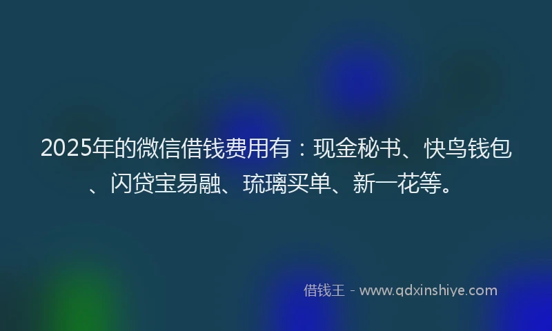 2025年的微信借钱费用有：现金秘书、快鸟钱包、闪贷宝易融、琉璃买单、新一花等。