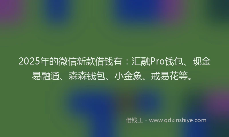 2025年的微信新款借钱有：汇融Pro钱包、现金易融通、森森钱包、小金象、戒易花等。