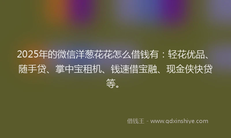 2025年的微信洋葱花花怎么借钱有：轻花优品、随手贷、掌中宝租机、钱速借宝融、现金侠快贷等。