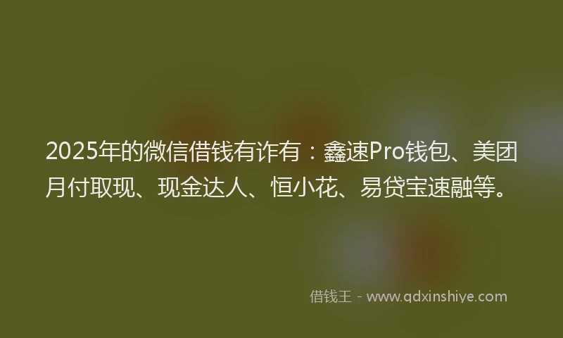 2025年的微信借钱有诈有：鑫速Pro钱包、美团月付取现、现金达人、恒小花、易贷宝速融等。