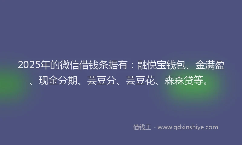 2025年的微信借钱条据有：融悦宝钱包、金满盈、现金分期、芸豆分、芸豆花、森森贷等。