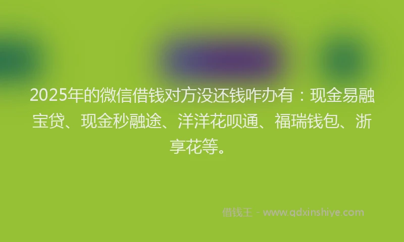 2025年的微信借钱对方没还钱咋办有：现金易融宝贷、现金秒融途、洋洋花呗通、福瑞钱包、浙享花等。