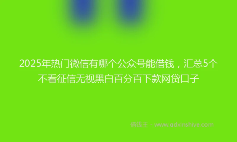 2025年热门微信有哪个公众号能借钱，汇总5个不看征信无视黑白百分百下款网贷口子