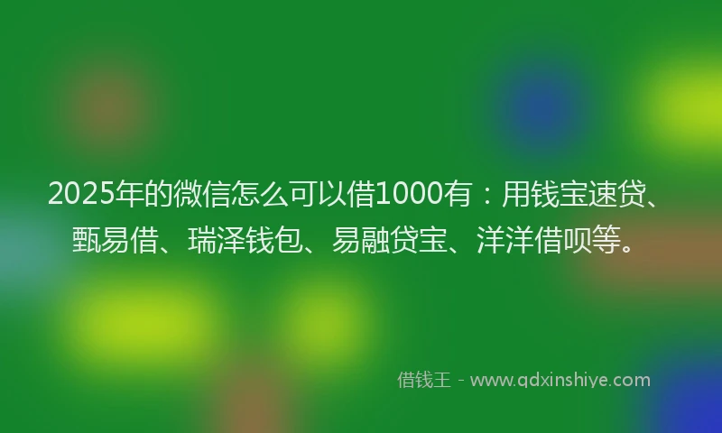 2025年的微信怎么可以借1000有：用钱宝速贷、甄易借、瑞泽钱包、易融贷宝、洋洋借呗等。