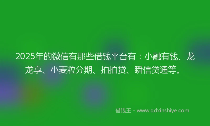2025年的微信有那些借钱平台有：小融有钱、龙龙享、小麦粒分期、拍拍贷、瞬信贷通等。
