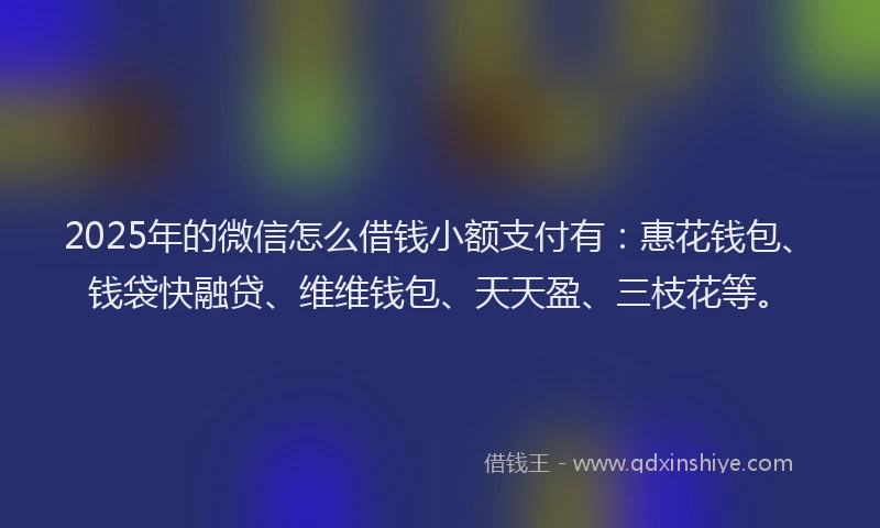 2025年的微信怎么借钱小额支付有：惠花钱包、钱袋快融贷、维维钱包、天天盈、三枝花等。
