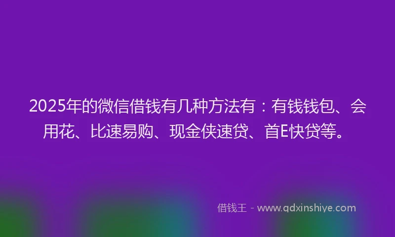 2025年的微信借钱有几种方法有：有钱钱包、会用花、比速易购、现金侠速贷、首E快贷等。