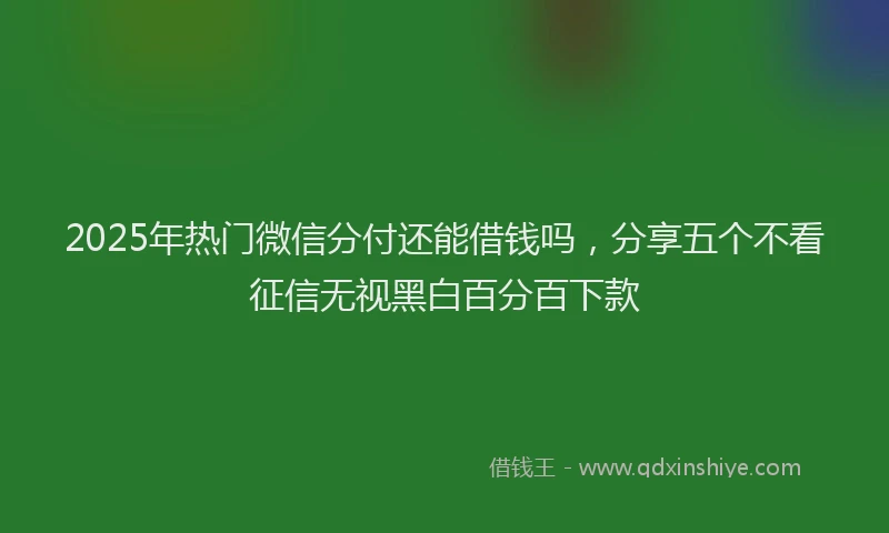 2025年热门微信分付还能借钱吗，分享五个不看征信无视黑白百分百下款
