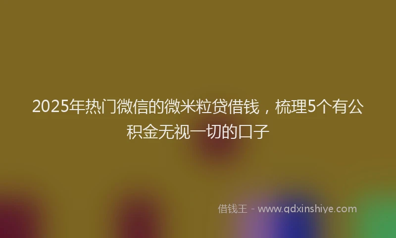 2025年热门微信的微米粒贷借钱，梳理5个有公积金无视一切的口子