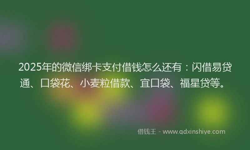 2025年的微信绑卡支付借钱怎么还有：闪借易贷通、口袋花、小麦粒借款、宜口袋、福星贷等。