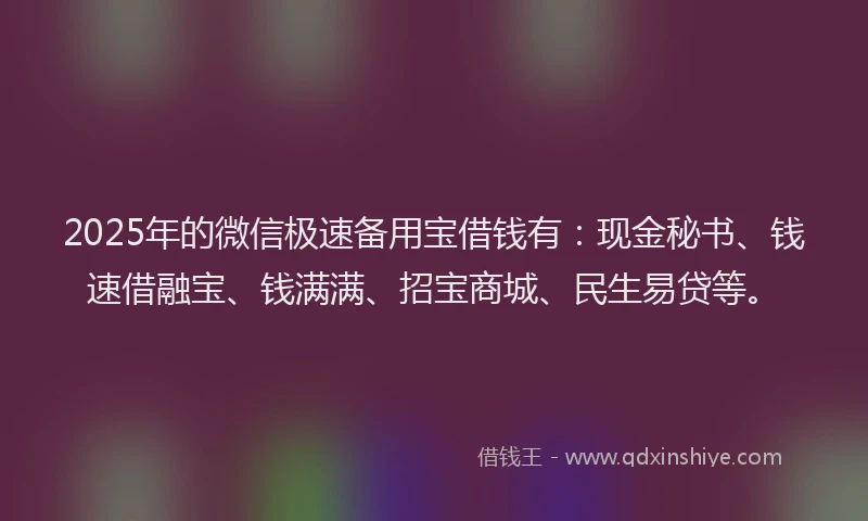 2025年的微信极速备用宝借钱有：现金秘书、钱速借融宝、钱满满、招宝商城、民生易贷等。