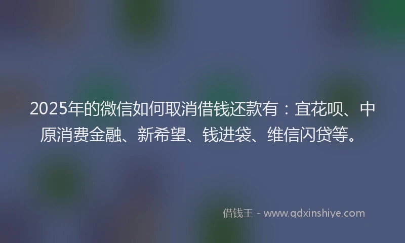 2025年的微信如何取消借钱还款有：宜花呗、中原消费金融、新希望、钱进袋、维信闪贷等。