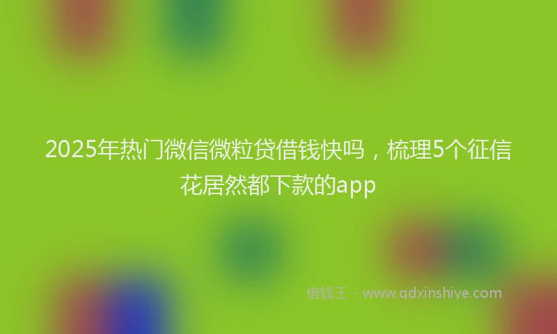 2025年热门微信微粒贷借钱快吗，梳理5个征信花居然都下款的app