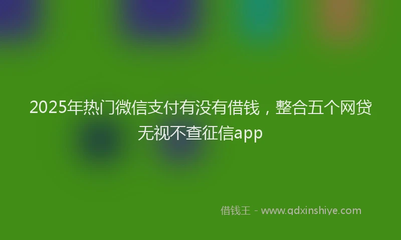 2025年热门微信支付有没有借钱，整合五个网贷无视不查征信app