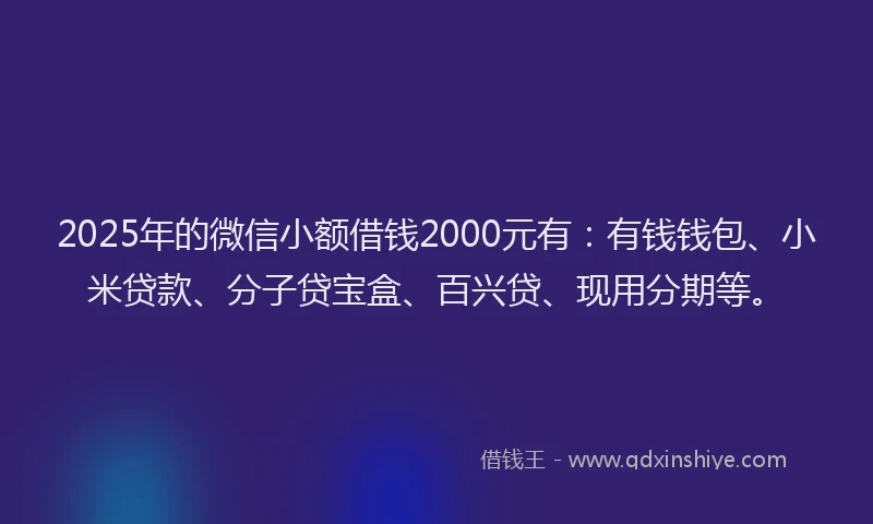 2025年的微信小额借钱2000元有：有钱钱包、小米贷款、分子贷宝盒、百兴贷、现用分期等。