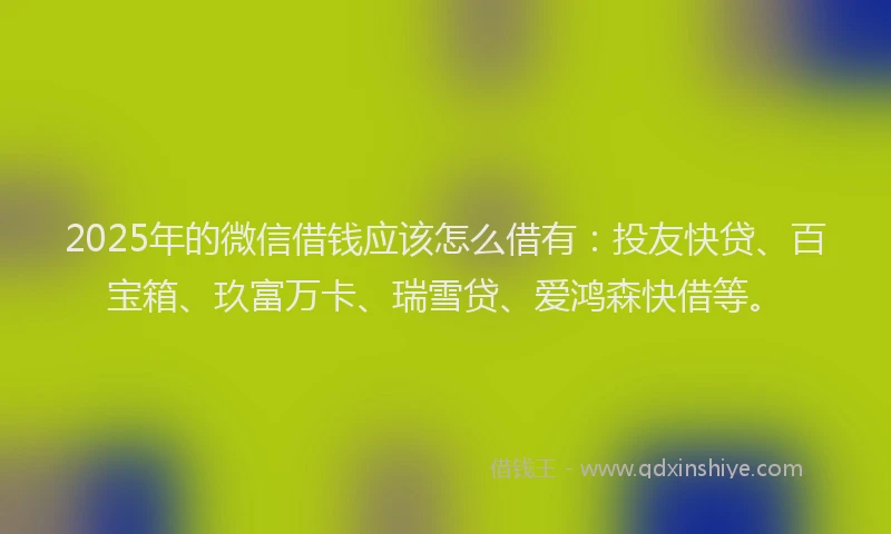 2025年的微信借钱应该怎么借有：投友快贷、百宝箱、玖富万卡、瑞雪贷、爱鸿森快借等。