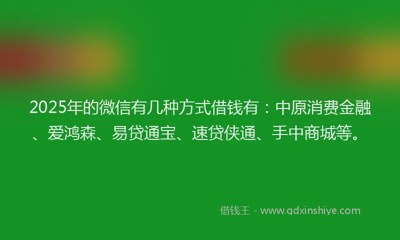 2025年的微信有几种方式借钱有：中原消费金融、爱鸿森、易贷通宝、速贷侠通、手中商城等。