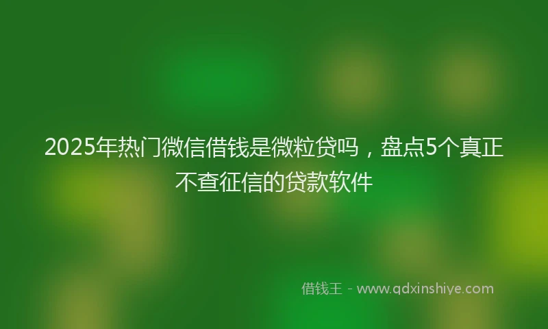 2025年热门微信借钱是微粒贷吗，盘点5个真正不查征信的贷款软件