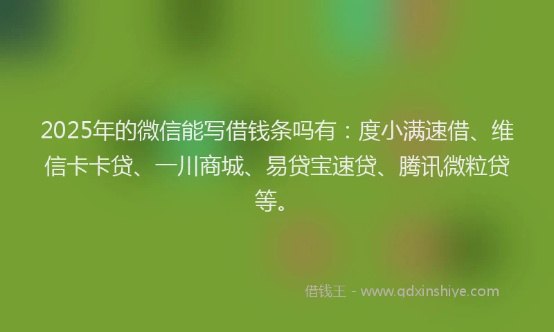 2025年的微信能写借钱条吗有：度小满速借、维信卡卡贷、一川商城、易贷宝速贷、腾讯微粒贷等。