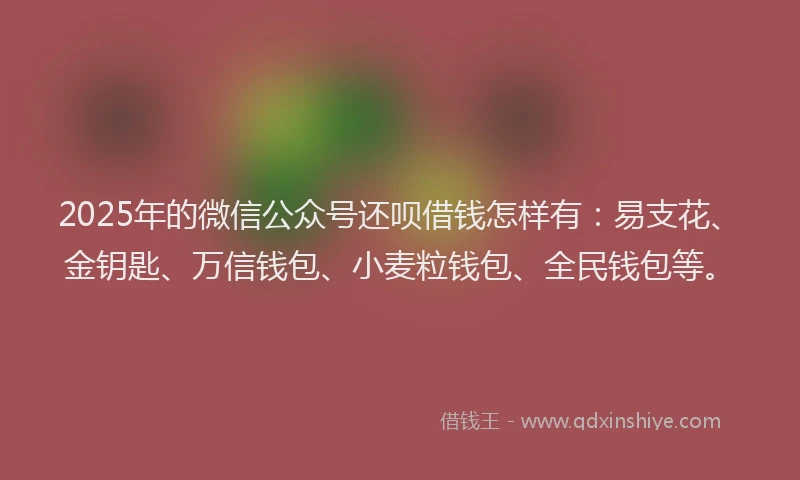 2025年的微信公众号还呗借钱怎样有：易支花、金钥匙、万信钱包、小麦粒钱包、全民钱包等。
