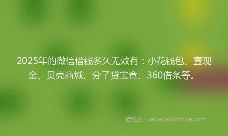 2025年的微信借钱多久无效有：小花钱包、壹现金、贝壳商城、分子贷宝盒、360借条等。