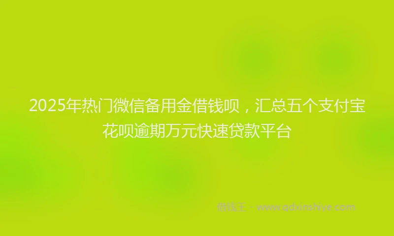 2025年热门微信备用金借钱呗，汇总五个支付宝花呗逾期万元快速贷款平台