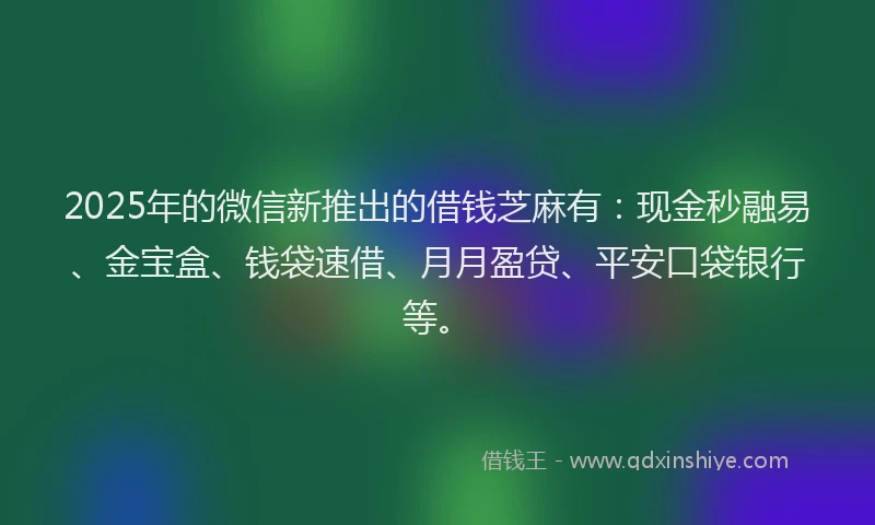 2025年的微信新推出的借钱芝麻有：现金秒融易、金宝盒、钱袋速借、月月盈贷、平安口袋银行等。