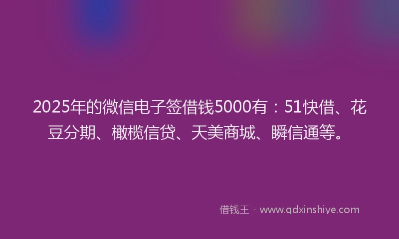2025年的微信电子签借钱5000有：51快借、花豆分期、橄榄信贷、天美商城、瞬信通等。
