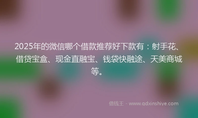 2025年的微信哪个借款推荐好下款有：射手花、借贷宝盒、现金直融宝、钱袋快融途、天美商城等。