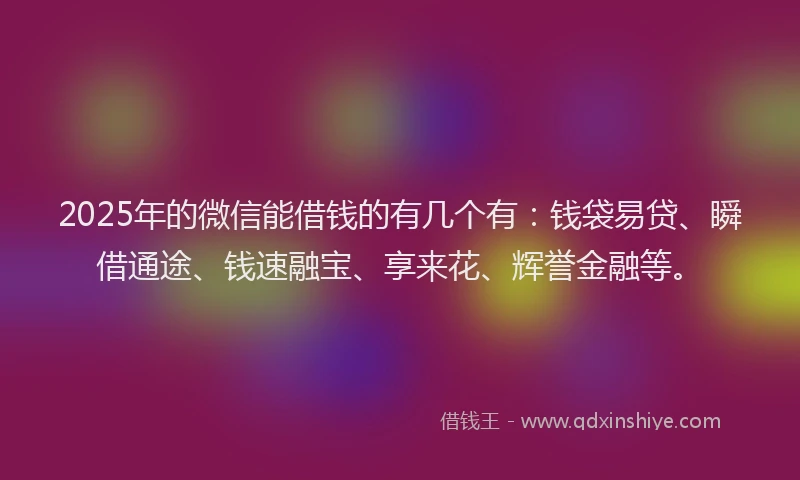 2025年的微信能借钱的有几个有：钱袋易贷、瞬借通途、钱速融宝、享来花、辉誉金融等。
