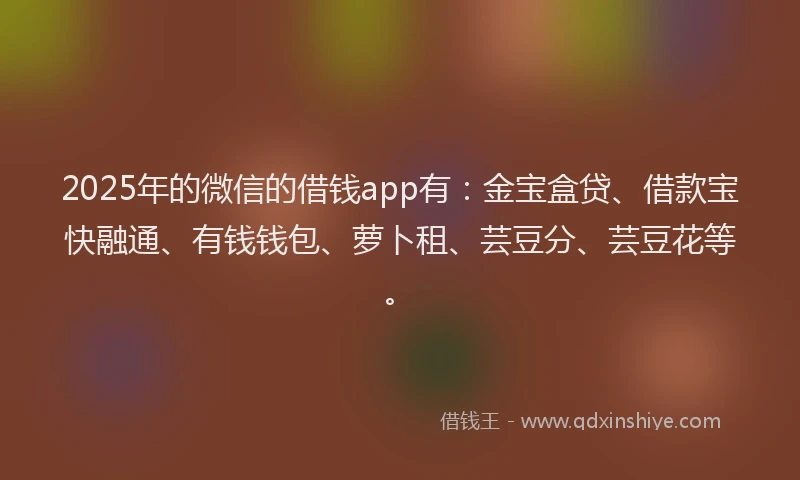 2025年的微信的借钱app有：金宝盒贷、借款宝快融通、有钱钱包、萝卜租、芸豆分、芸豆花等。