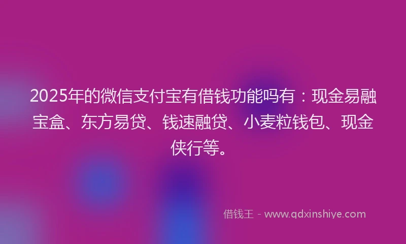2025年的微信支付宝有借钱功能吗有：现金易融宝盒、东方易贷、钱速融贷、小麦粒钱包、现金侠行等。