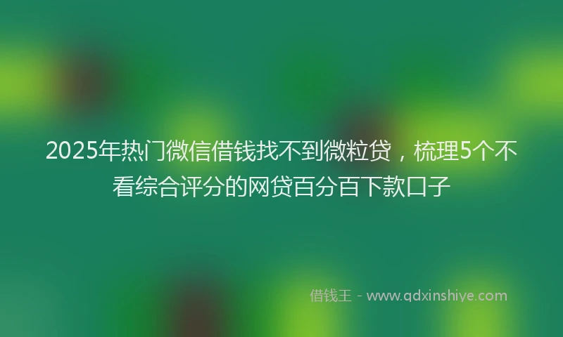 2025年热门微信借钱找不到微粒贷，梳理5个不看综合评分的网贷百分百下款口子