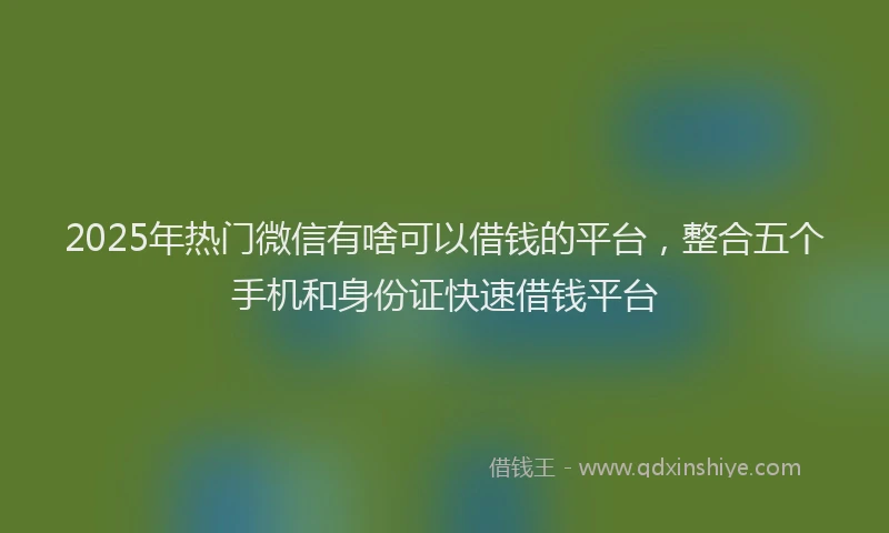 2025年热门微信有啥可以借钱的平台，整合五个手机和身份证快速借钱平台