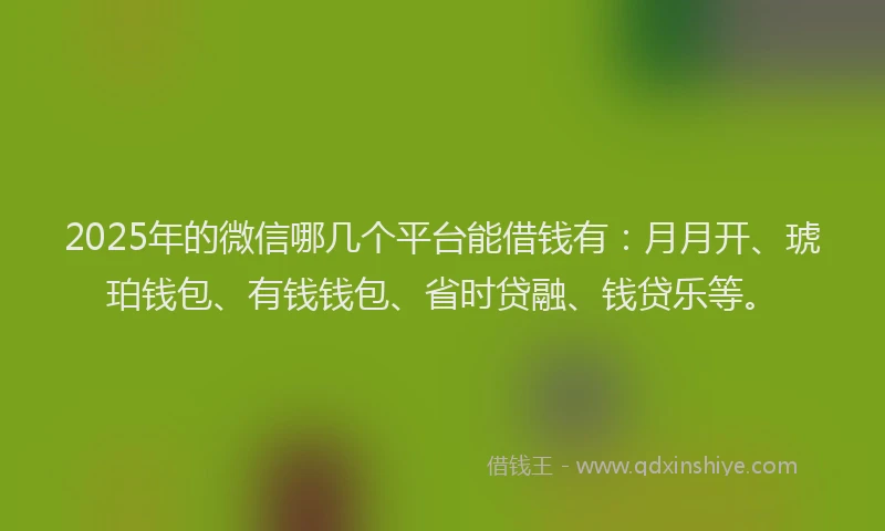 2025年的微信哪几个平台能借钱有：月月开、琥珀钱包、有钱钱包、省时贷融、钱贷乐等。