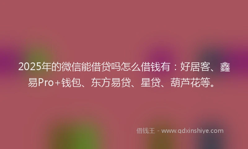 2025年的微信能借贷吗怎么借钱有：好居客、鑫易Pro+钱包、东方易贷、星贷、葫芦花等。