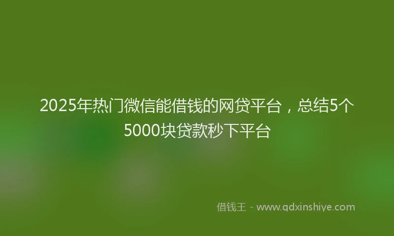 2025年热门微信能借钱的网贷平台，总结5个5000块贷款秒下平台
