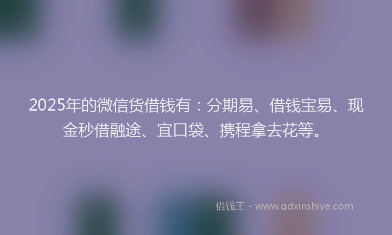 2025年的微信货借钱有：分期易、借钱宝易、现金秒借融途、宜口袋、携程拿去花等。